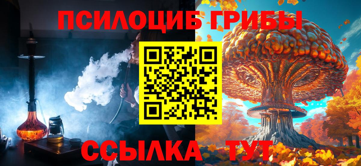 Батайск  Галлюциногенные грибы Psilocybine cubensis  даркнет сайт  Вход с VPN 